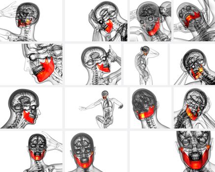3d rendering illustration of jaw bone