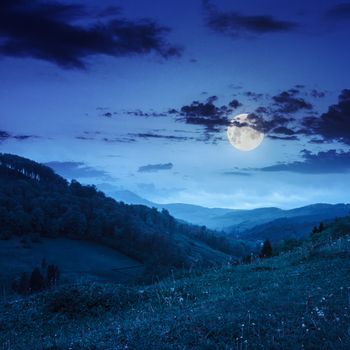 cold morning fog on meadow and forest in the mountains at night in moon light