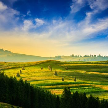 Stack of hay on a green meadow in the mountains in the morning under a blue summer sky