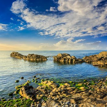 calm sea wave wash the boulders and brings seaweed