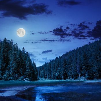 view on lake near the pine forest on mountain background at night in moon light