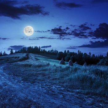 Stack of hay on a green meadow in the mountains at night in moon light