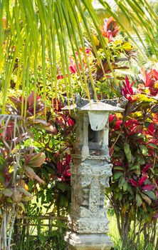 Beautiful tropical bali garden