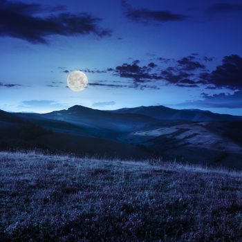 cold morning fog  in the mountains at night in moon light