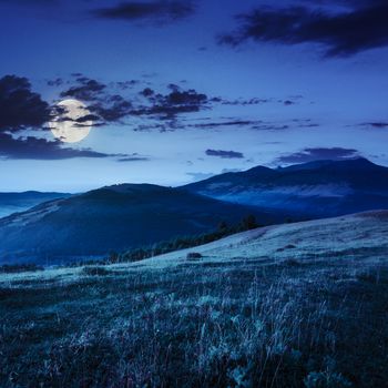 cold fog on meadow with grass and flowers in the mountains near the forest at night in moon light