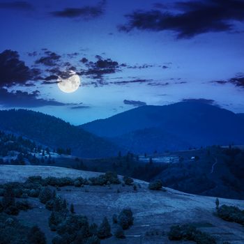 summer landscape. village on the hillside. forest on the mountain light fall on clearing on mountains at night in moon light