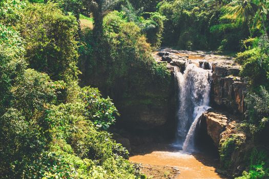 Small waterfall in the forest - Bali, Indonesia