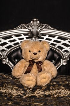 Teddy bear sits on a steel chair.