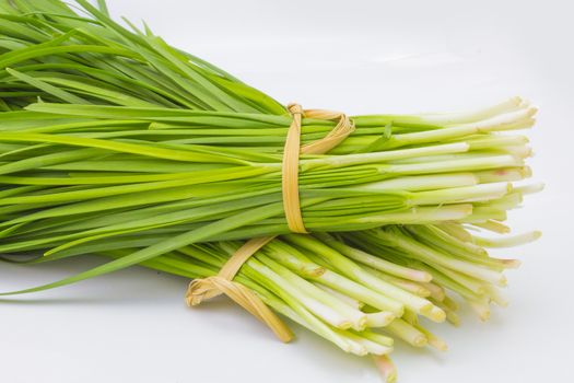 fresh green Garlic chives vegetable, white Garlic chives