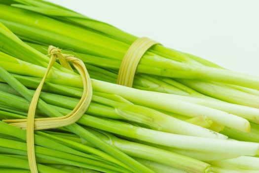 fresh green Garlic chives vegetable, white Garlic chives