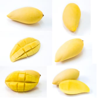 fresh delicious yellow mango isolated  on white background