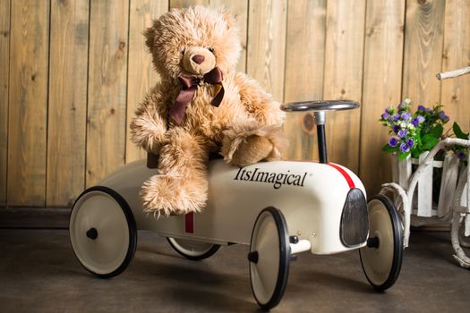 Teddy bear sitting on white toy car