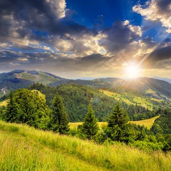 path in the grass on top of a slope of mountain range with coniferous forest at sunset