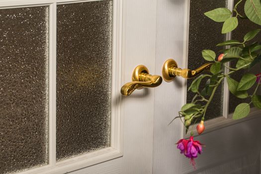 modern style door handle on white wooden door with gold handles