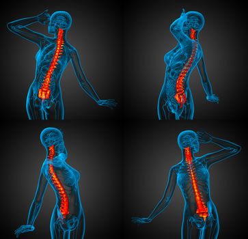 3d rendering medical illustration of the human spine