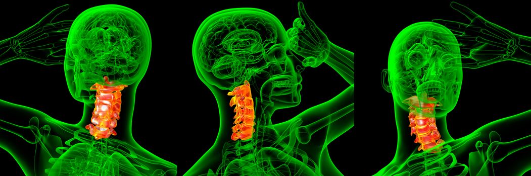 3d rendering medical illustration of the cervical spine