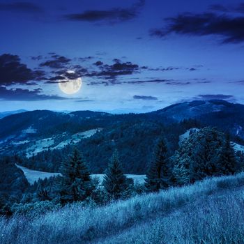 path in the grass on top of a slope of mountain range with coniferous forest at night in moon light