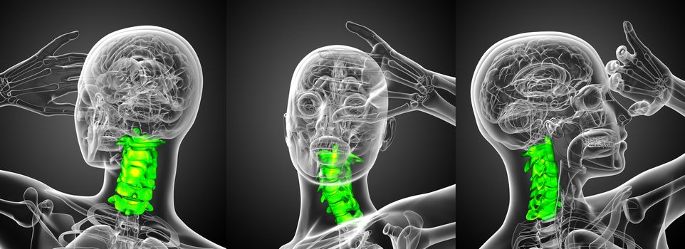 3d rendering medical illustration of the cervical spine