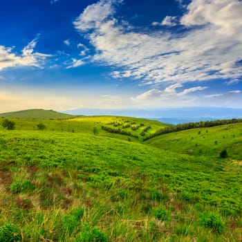 mountain landscape. valley with stones on the hillside. forest on the mountain under the beam of light falls on a clearing at the top of the hill.