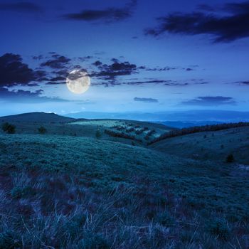 mountain landscape. valley with stones on the hillside. forest on the mountain under the beam of light falls on a clearing at the top of the hill at night in moon light