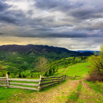 summer landscape. fence near the meadow path on the hillside. forest in fog on the mountain.