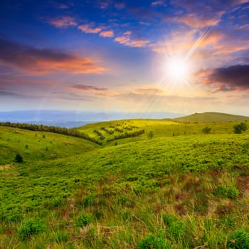 mountain landscape. valley with stones on the hillside. forest on the mountain under the beam of light falls on a clearing at the top of the hill at sunset