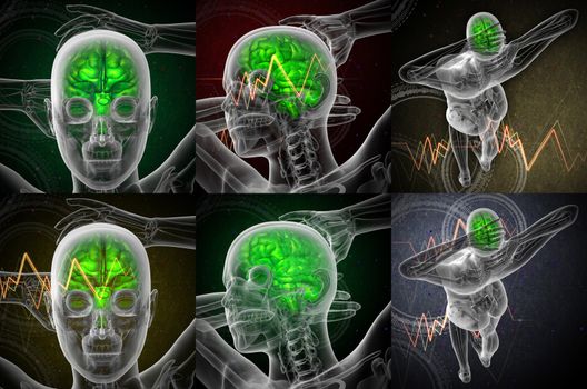 3d rendering medical illustration of the human brain 