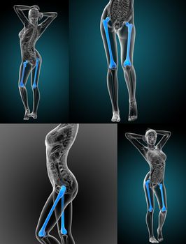 3d rendering medical illustration of the femur bone