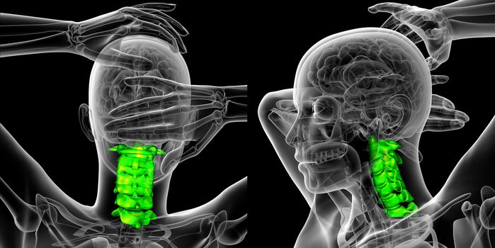 3d rendering medical illustration of the cervical spine 