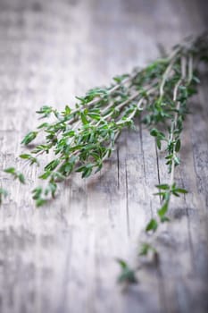 A bunch of Green thyme on the wood table