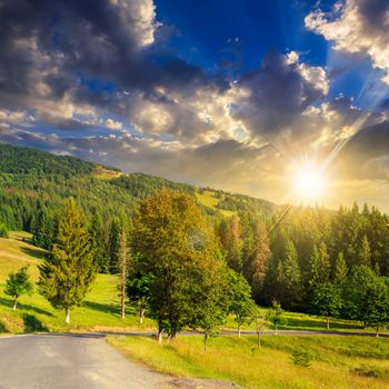 asphalt road going to mountains  through the green shaded forest at sunset