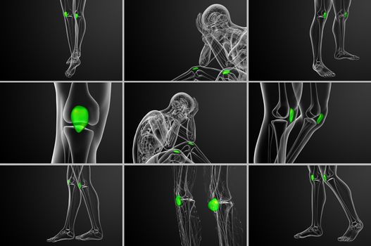 3d rendering medical illustration of the patella bone 