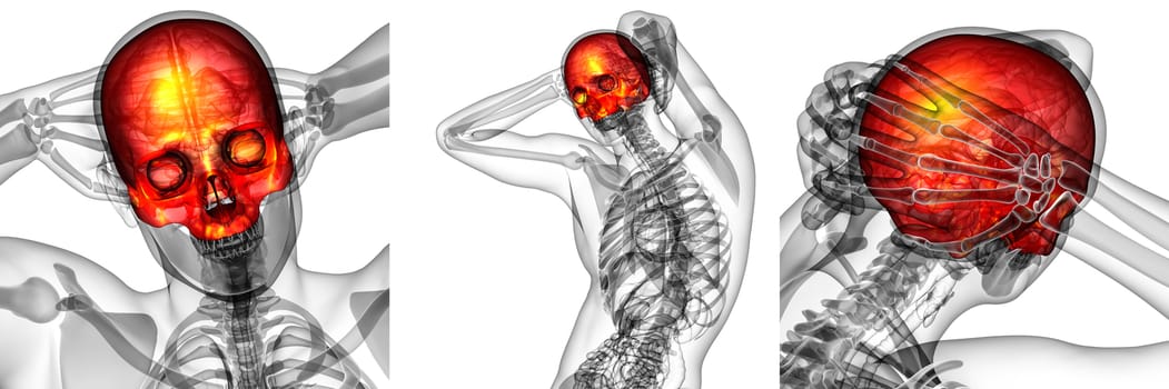 3d rendering medical illustration of the upper skull 