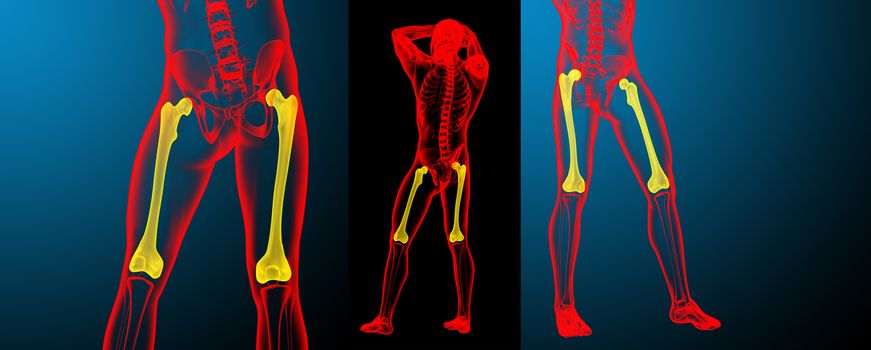 3d rendering medical illustration of the femur bone 
