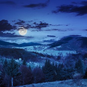 autumn landscape. village on the hillside. forest on the mountain light fall on clearing on mountains at night in moon light