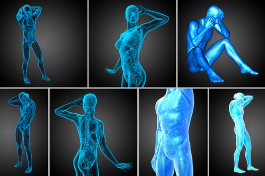 3d rendering medical illustration of the human anatomy 