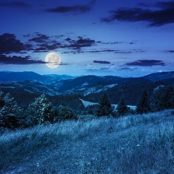 mountain summer landscape. pine trees near meadow and forest on hillside under  sky with clouds at night in moon light