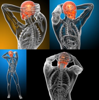 3d rendering medical illustration of the human skull 