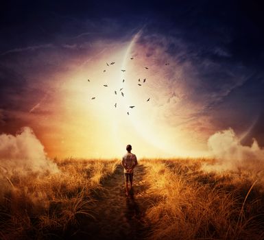 Boy walking on a cpathway with a relax mood, following a group of birds on the space horizon. Way of life concept