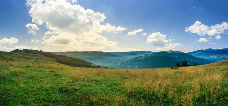 mountain summer landscape.trees near meadow on hillside under  sky with clouds at sunrise