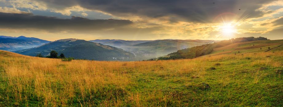 mountain summer landscape.trees near meadow on hillside under  sky with clouds at sunset