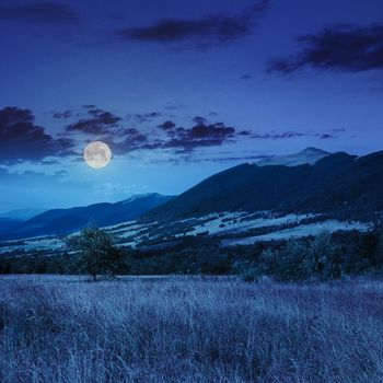 mountain summer landscape. trees near meadow and forest att the foot of the mountain under  sky with clouds at night in full moon light