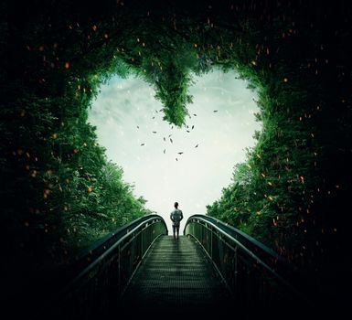 Boy walking on a bridge through the heart shape woods, following the light. Follow your heart concept