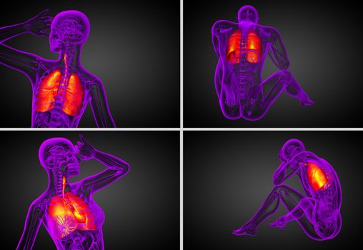 3d rendering medical illustration of the human respiratory system