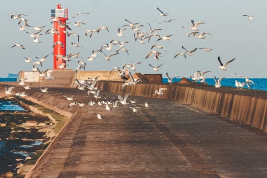 White seagulls flying against the red lighthouse