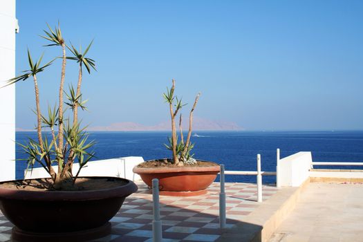 The open area of hotel overlooking the Red Sea