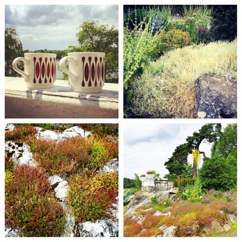 Collage with images of Scandinavian nature in summer. Heather and moss on rocks.