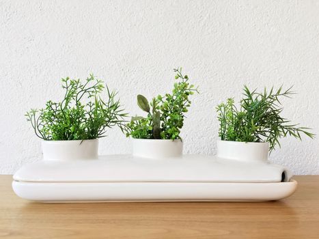 White decorative ceramic pot with green plants. Home decor.