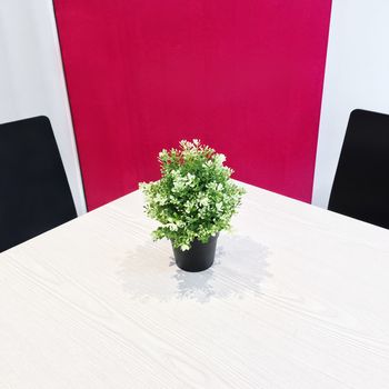 Blooming plant decorating a table. Detail of a cafe interior.