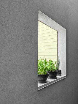 Potted herbs on a window sill. Detail of an urban residential building.